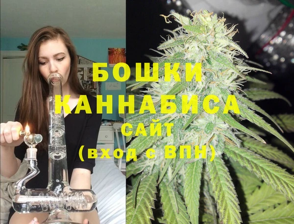 амф Новокубанск