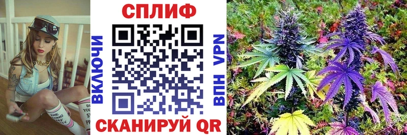 hydra вход  сколько стоит  Крым  Шишки марихуана сатива 